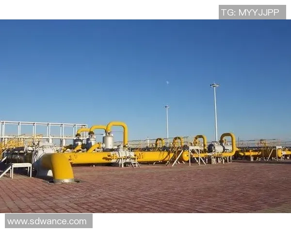 独家深度解析全球LNG市场竞争力及未来发展趋势